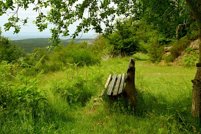 来自球迷 来自球迷