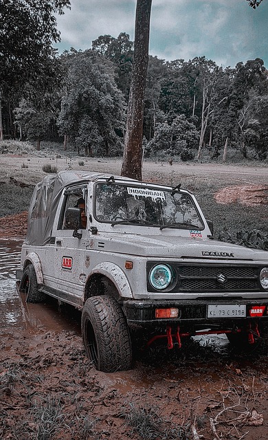 发球成为她 发球成为她